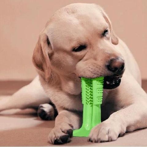 Meat-Flavored Dog Toothbrush