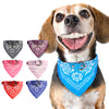 Chihuahua Puppy Pet Neckerchief