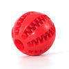 Watermelon Ball for Dog Toy