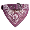 Chihuahua Puppy Pet Neckerchief