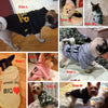 Creative Dog Clothes